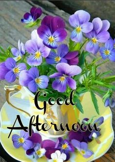 purple pansies in a teacup with the words good afternoon