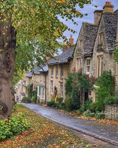 a street lined with houses and trees in autumn