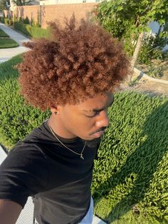 Hair Dye Ideas For Afro, Men Honey Blonde Hair, Dark Honey Blonde Hair Color, Brown Hair Men Black, Ginger Cornrows Men, Honey Gold Brown Hair, Hair Color Ideas For Black Hair Men, Dyed Afro Men, Hair Dye Colors Men