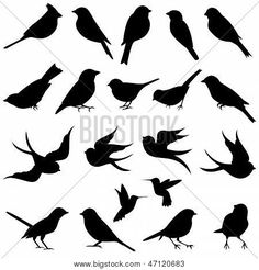 the silhouettes of birds are shown in different positions and sizes, including one black bird