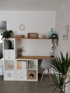 a room with a desk, shelves and plants on the wall next to a potted plant