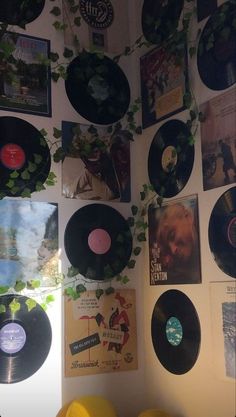 there are many records on the wall with plants growing out of them in this room