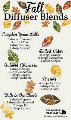 Diffuser blends Simmer Pots, Lilin Aroma, Fall Diffuser Blends, Săpunuri Handmade