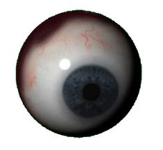 an eyeball is shown with red spots on the outside and inside of it's iris