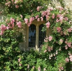 pink flowers are growing on the side of a stone building with a window in it