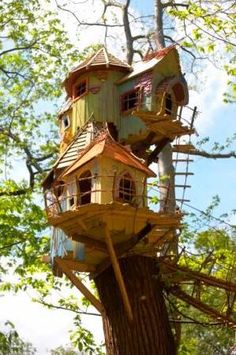 a tree house built into the side of a tree