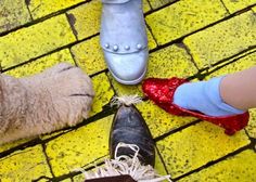 two dogs standing next to each other on a brick floor with shoes and one cat