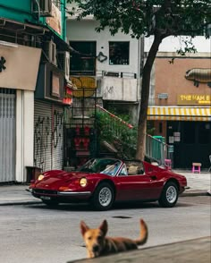 a dog laying on the ground next to a red sports car parked in front of a building