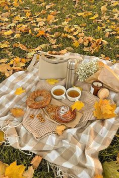 a picnic blanket with food and drinks on it