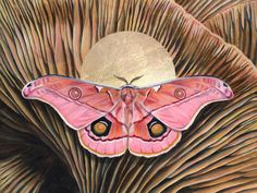 a painting of a pink butterfly with yellow eyes