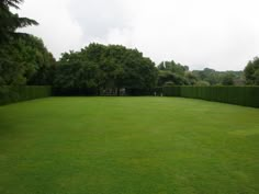 a large grassy field with trees in the background