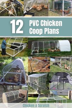 chicken coop plans are easy to build and can be used in the garden or backyard