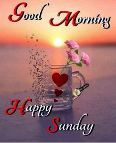 a coffee cup with roses in it and the words good morning happy sunday