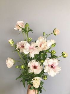 a person's hand holding a bouquet of flowers in front of a gray wall