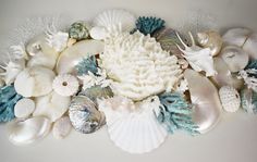 sea shells and corals are arranged on a white surface