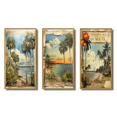 three framed pictures with palm trees and the ocean