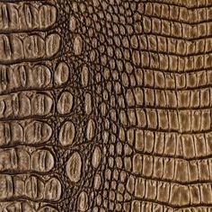 the texture of an alligator's skin