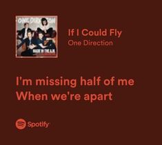 Best One Direction Lyrics, One Direction Love Lyrics, If I Could Fly One Direction, If I Could Fly Lyrics, One Direction Lyrics Aesthetic, One Direction Quotes Lyrics, One Direction Aesthetic Lyrics