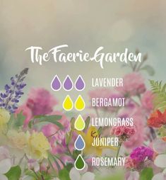 Young Living Diffuser, Perfume Recipes, Essential Oil Blends Recipes