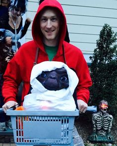 a man in a red hoodie holding a basket with a pug inside it