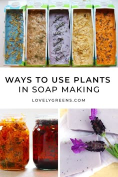 several different types of soaps in jars with the words, ways to use plants in soap making