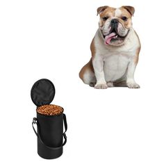 a dog sitting next to a black bag with food in it's mouth and a white background