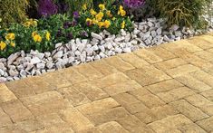 an image of a garden with flowers and rocks