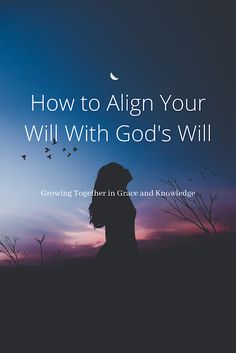 the silhouette of a person in front of a sunset with text that reads, how to align your will with god's will