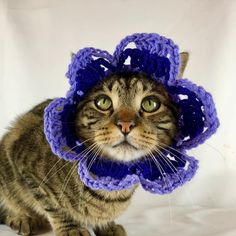 a cat wearing a crocheted flower hat