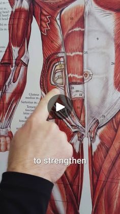 a hand pointing at a diagram of the human body with text below it that reads, to strength