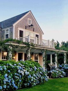 a house with blue hydrangeas in front of it