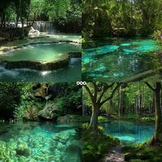 four different pictures of the same river and trees in each photo, one with blue water