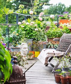 a wooden deck with lots of potted plants on it and a chair in the foreground