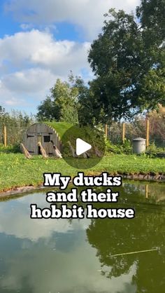 an image of a pond with the words my ducks and their hobbit house