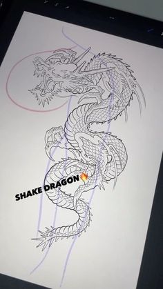 a drawing of a dragon with the words shake dragon on it's back side