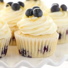 cupcakes with white frosting and blueberries on top