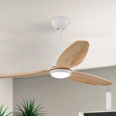 a white ceiling fan with wooden blades in a living room or office area, next to a potted plant