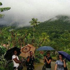 three women with umbrellas are walking on a path in the rain near some mountains