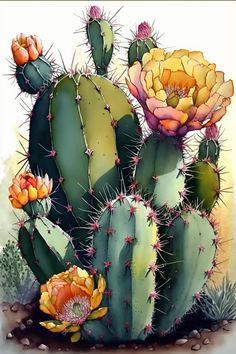 a cactus with many different colored flowers on it