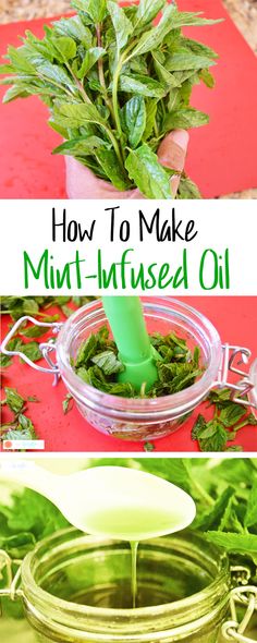 How To Make Mint Oil, Mint Oil Diy, How To Make Mint Essential Oil, Mint Salve Recipe, How To Infuse Oil With Herbs, Mint Essential Oil Diy, How To Make Peppermint Oil, Diy Ointment, Mint Oil Recipe