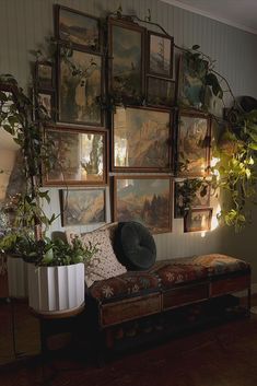 a living room filled with lots of plants and pictures hanging on the wall above it