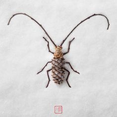 a bug sitting on top of snow covered ground