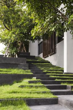 the grass is growing on the concrete steps