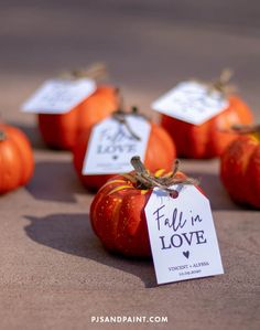 small pumpkins are sitting on the ground with tags attached to them