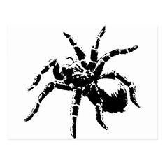 Tarantula Drawing, General Tattoo, Tarantula Spider, Y2k Poster, Clothing Prints, Forearm Tattoo Design, Spooky Tattoos, Spiritual Artwork