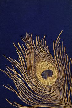 a book with an image of a peacock's tail