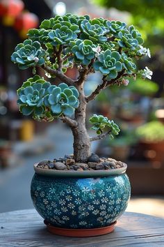 a bonsai tree in a blue pot on a wooden table