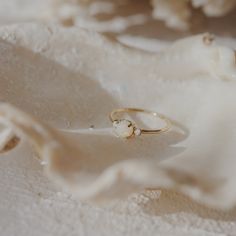 a white ring sitting on top of a piece of paper next to some seashells