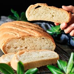 a loaf of bread is being held by someone's hand