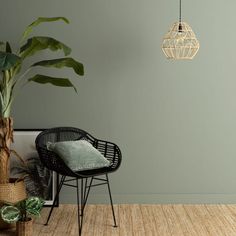 a room with a chair, potted plant and a lamp hanging from the ceiling